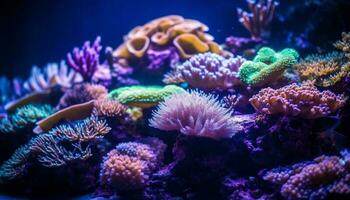 multi farbig Fisch schwimmen unter beschwingt Koralle Riff generiert durch ai foto
