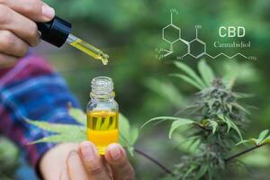 wissenschaftler, der hanfölextrakte analysiert und erforscht, konzept der pflanzlichen alternativen medizin, cbd-hanföl, pharmazeutische industrie. foto