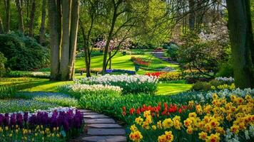 Tulpen Garten im Holland foto