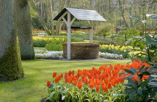 Niederlande bunt Landschaft und Blumen foto