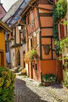 Landschaft von Elsass Region im Frankreich foto