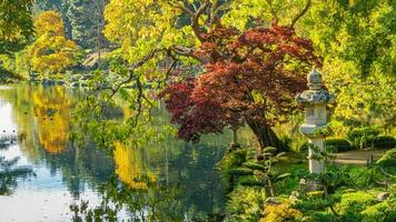 schön Herbst Jahreszeit foto