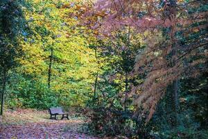 schön Herbst Jahreszeit foto