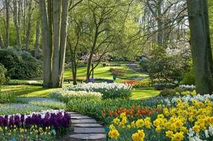 Niederlande bunt Landschaft und Blumen foto