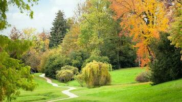 schön Herbst Jahreszeit foto