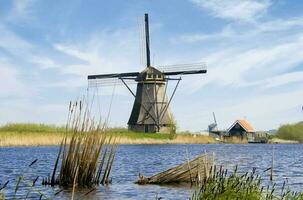 Niederlande bunt Land von Windmühlen und Tulpen Blumen foto