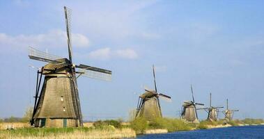 Niederlande bunt Land von Windmühlen und Tulpen Blumen foto