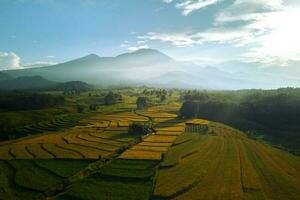 schöne Morgenansicht Indonesien Panoramalandschaft Reisfelder mit Schönheitsfarbe und natürlichem Himmelslicht foto