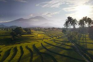 schöne Morgenansicht Indonesien Panoramalandschaft Reisfelder mit Schönheitsfarbe und natürlichem Himmelslicht foto