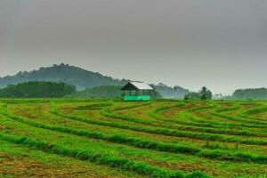 schöne Morgenansicht Indonesien Panoramalandschaft Reisfelder mit Schönheitsfarbe und natürlichem Himmelslicht foto