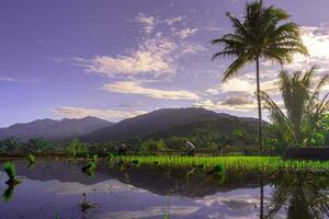 schöne Morgenansicht Indonesien Panoramalandschaft Reisfelder mit Schönheitsfarbe und natürlichem Himmelslicht foto