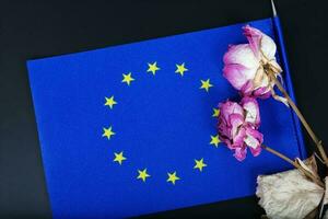 ein Flagge von EU und getrocknet Blumen foto