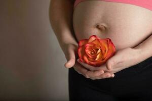 jung schwanger Frau hält natürlich Rose blühen schließen zu ihr Bauch. foto