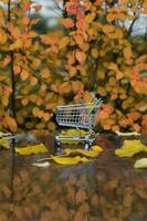 Mini Einkaufen Wagen auf ein nass Marmor Stein im Herbst Zeitraum. foto