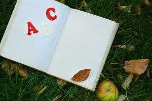 Buch und ein rot Apfel auf ein Grün Gras. foto
