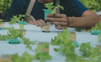 Farmer mit Digital Gerät Überprüfung auf Tablette mit Plantage. foto