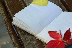 öffnen Buch mit bunt Herbst Blatt auf ein braun Bank. foto