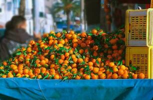 Mandarine beim das Markt foto