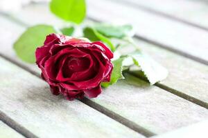 ein rot schmelzen Rose auf ein alt hölzern Oberfläche foto