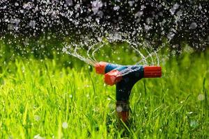 rotierender Gartensprinkler, der Gras wässert foto