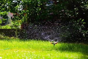 rotierender Gartensprinkler, der Gras wässert foto