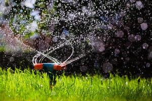 rotierender Gartensprinkler, der Gras wässert foto