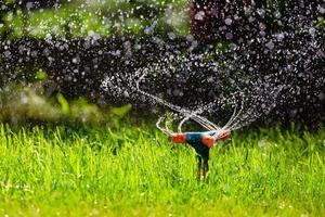 Garten Sprinkler Bewässerung Gras foto