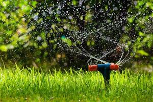 rotierender Gartensprinkler, der Gras wässert foto