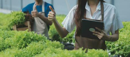 organisch Bauernhof ,Arbeiter testen und sammeln Umgebung Daten von bok Choy organisch Gemüse beim Gewächshaus Bauernhof Garten. foto