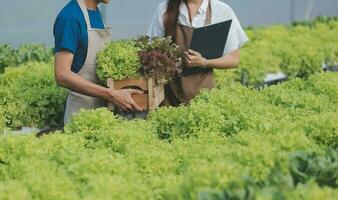 organisch Bauernhof ,Arbeiter testen und sammeln Umgebung Daten von bok Choy organisch Gemüse beim Gewächshaus Bauernhof Garten. foto