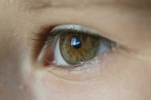 Kinder Auge Nahansicht Makro Linse. das Mensch Auge ist tragen grün. foto