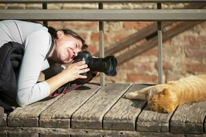 das Fotograf nimmt Bilder von ein Ingwer Schlafen Katze. Tier Fotograf. foto