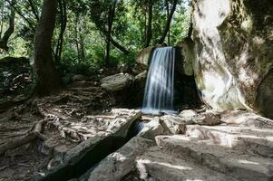 Landschaft. ein klein schnell Wasserfall im das wild malerisch Natur. Wald, Park foto