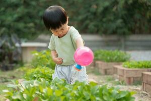organisch Landwirtschaft beim heim, organisch Gemüse Bauernhof. Kinder Bewässerung organisch Gemüse . nicht giftig Gemüse wachsen natürlich. Gewächshaus Garten, ökologisch biologisch, gesund, Vegetarier, Ökologie foto