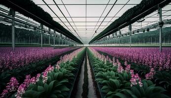 Gewächshaus Pflanze Wachstum Industrie blühen Frische draußen Natur generiert durch ai foto