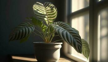 frisch Grün Pflanze wächst im Haus Fenster Vase generiert durch ai foto