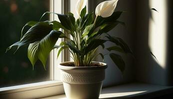 Grün Pflanze im Vase auf Fensterbrett drinnen generiert durch ai foto