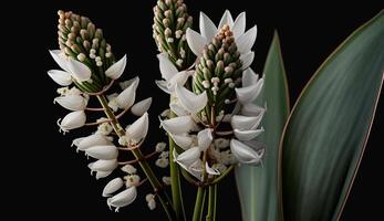 Natur Eleganz im schließen oben Blume Blütenblatt und Blatt generiert durch ai foto