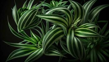 Grün Pflanze Blätter bilden schön abstrakt Muster ,generativ ai foto