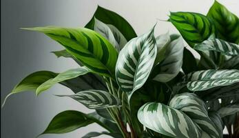 Grün Pflanze Blätter im schließen oben frisch Natur generiert durch ai foto