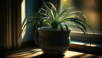 Innen- Natur Dekor eingetopft Pflanze auf Fenster Schwelle ,generativ ai foto