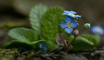 Schönheit gefangen im ein Makro Frühling fotografieren ,generativ ai foto