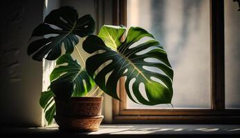 drinnen Grün Pflanzen auf Fenster Schwelle Sommer- Stimmung generiert durch ai foto