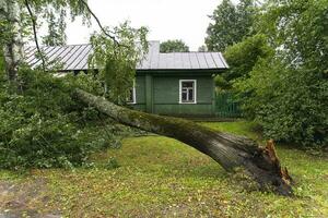 ein Baum gebrochen durch das Wind Lügen Nächster zu ein Privat Haus foto