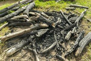 alt ausgelöscht Feuer Grube. Nahaufnahme, unverbrannt Brennholz auf Grün Gras foto