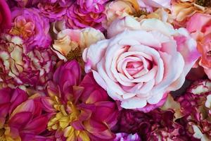rosa Rose und Blumen foto
