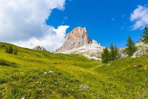 Wiesen der Dolomiten foto