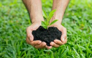das Mann Hände halten ein Boden und Pflanze. Umwelt, Erde Tag, speichern das Erde Konzept. foto