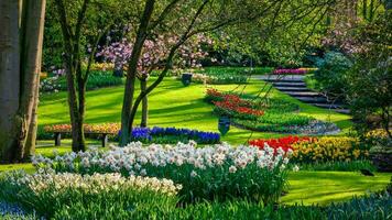 Tulpen Garten im Holland foto