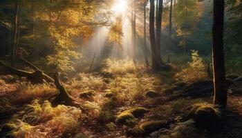 ein nebelig Herbst Morgen, das Geheimnis von Natur Schönheit generiert durch ai foto
